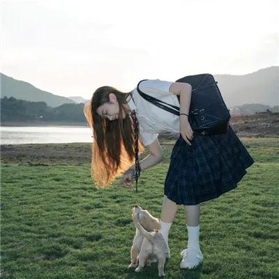 寻芳浪蝶